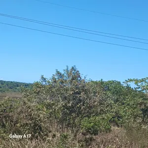 Industrial Plot for Sale Mkuranga