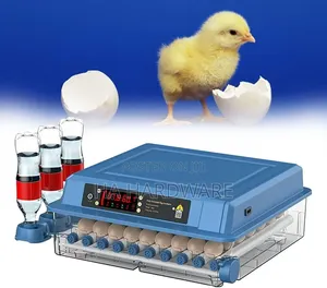 Egg Incubator