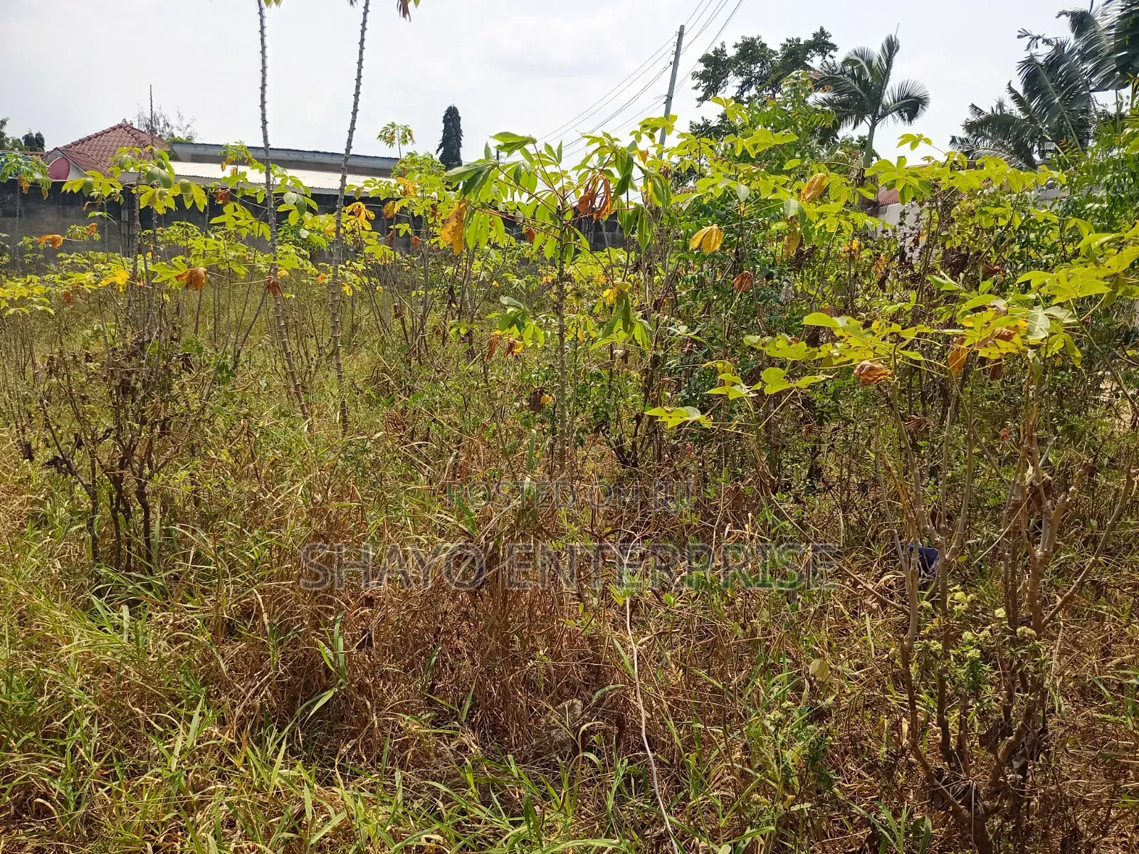 Kiwanja Kinauzwa