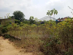 Kiwanja Kinauzwa