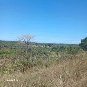 Maeneo Bora Yanauzwa Kibiti Pwani Yanatazama Lami