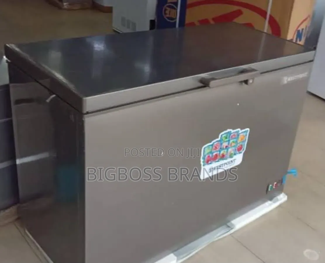 West Point Freezer Gray Colour 300 Litres