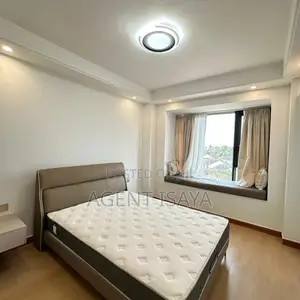 Furnished 3bdrm Apartment in Masaki for rent
