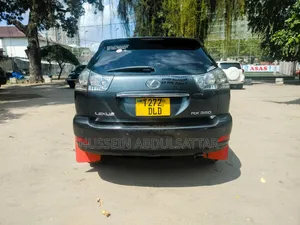 Lexus RX 2007 Gray