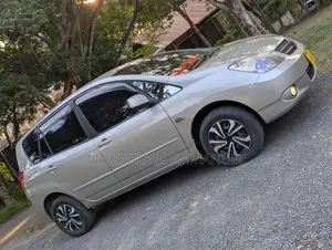 Toyota Corolla Spacio 2003 Gray