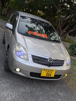 Toyota Corolla Spacio 2003 Gray