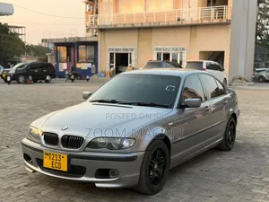 BMW 3 Series 2010 Gray
