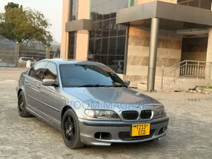 BMW 3 Series 2010 Gray