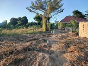 Kiwanja Kizuri Sana Kinauzwa Milioni 6 Goba Tegeta A