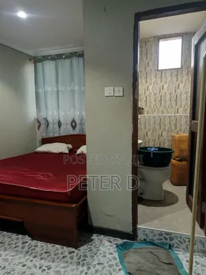 1bdrm Apartment in Kariakoo for rent