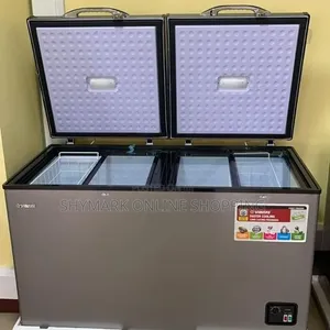 Snow Sea Chest Freezer Double Door 450L BD45S