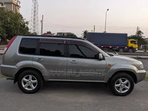 Nissan X-Trail 2002 Gray