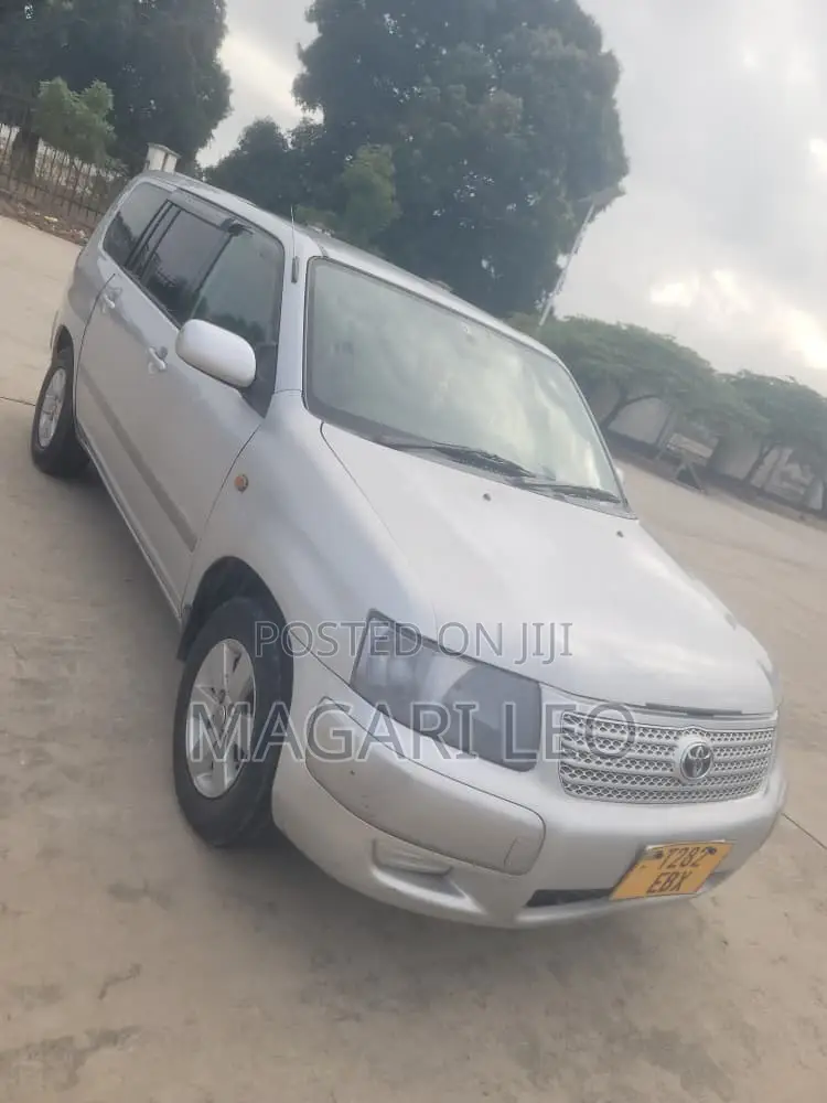 Toyota Probox 1.3 DX 2WD 2005 Silver