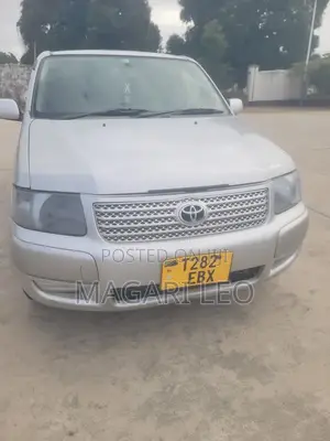 Toyota Probox 1.3 DX 2WD 2005 Silver