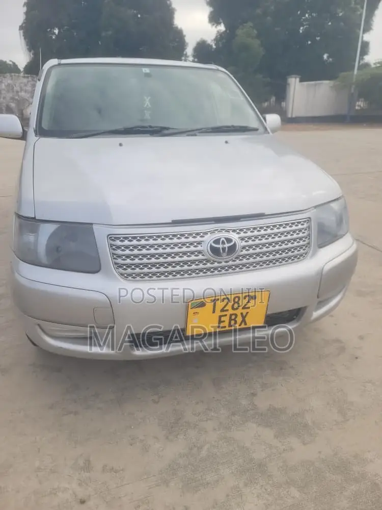 Toyota Probox 1.3 DX 2WD 2005 Silver