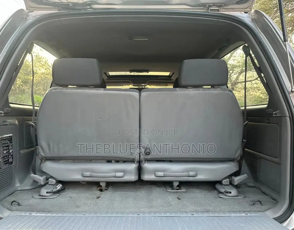 Toyota Land Cruiser 2005 Silver
