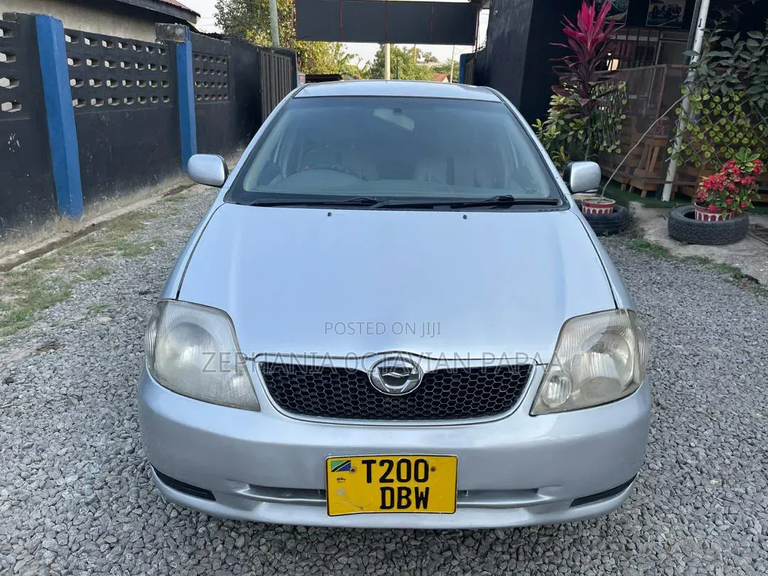 Toyota Corolla Fielder 2007 Silver