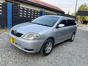 Toyota Corolla Fielder 2007 Silver