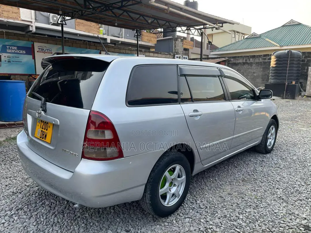 Toyota Corolla Fielder 2007 Silver