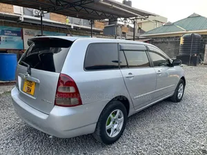 Toyota Corolla Fielder 2007 Silver