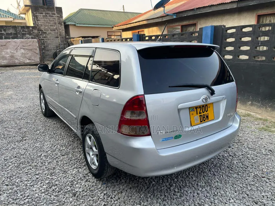 Toyota Corolla Fielder 2007 Silver