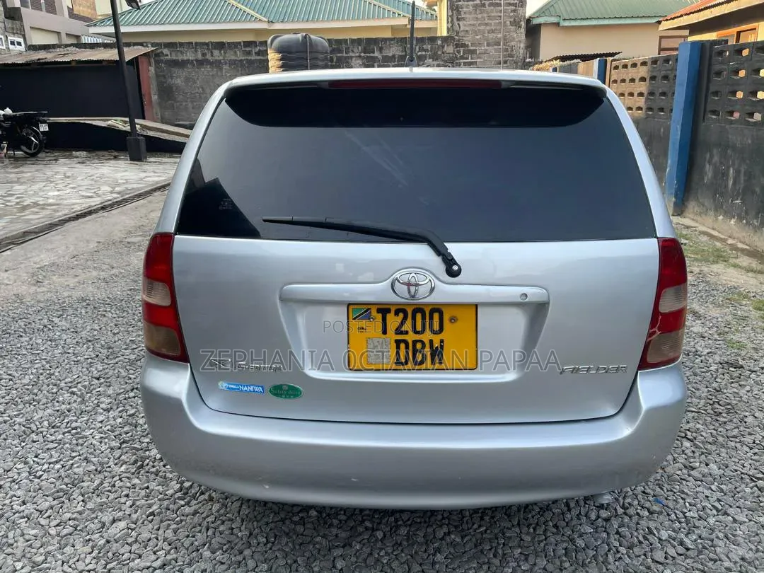 Toyota Corolla Fielder 2007 Silver