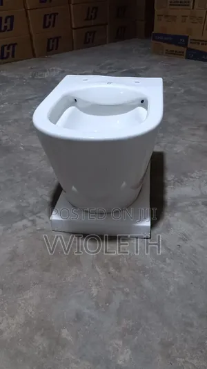 Wall Hang Toilet