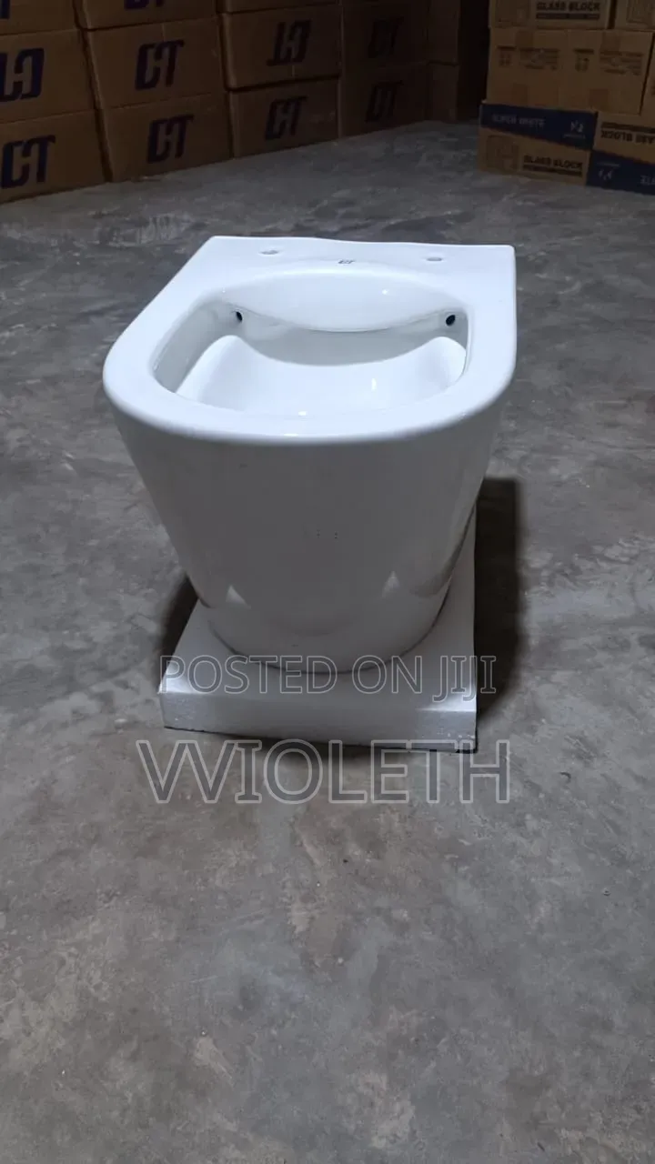 Wall Hang Toilet