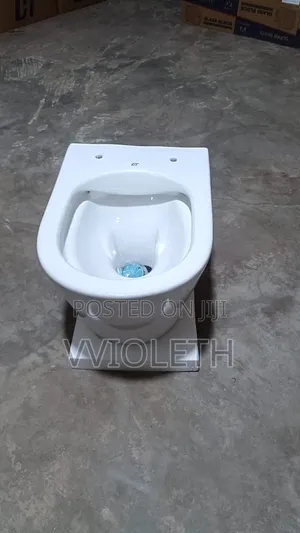 Wall Hang Toilet