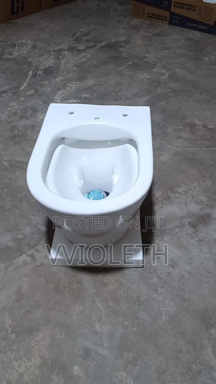 Wall Hang Toilet