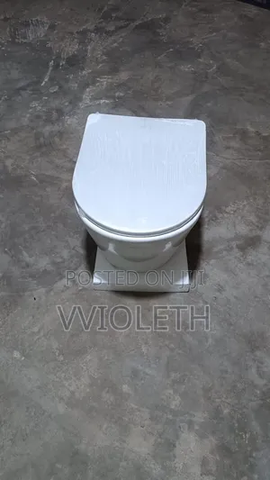 Wall Hang Toilet
