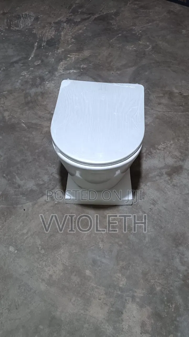 Wall Hang Toilet