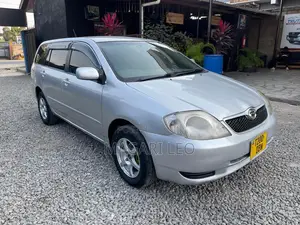 Toyota Corolla Fielder 1.5 Petrol FWD 2004 Silver
