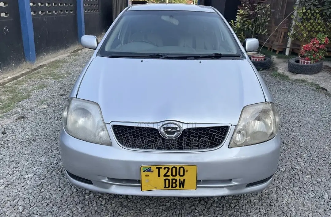Toyota Corolla Fielder 1.5 Petrol FWD 2004 Silver
