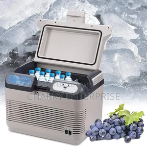 12Liter 60watt Portable Car Cooler and Warmer Refrigerator Car Fridge