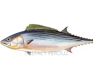 Fish Limited