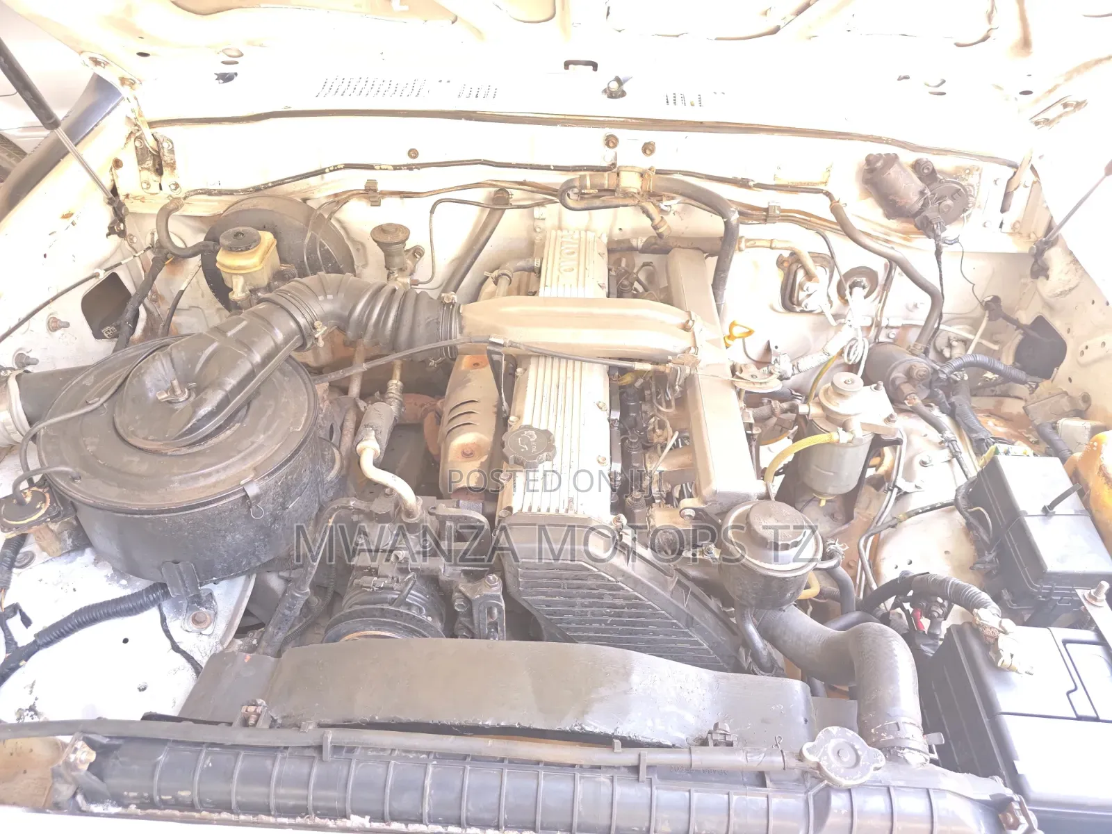 Toyota Land Cruiser 1996 White
