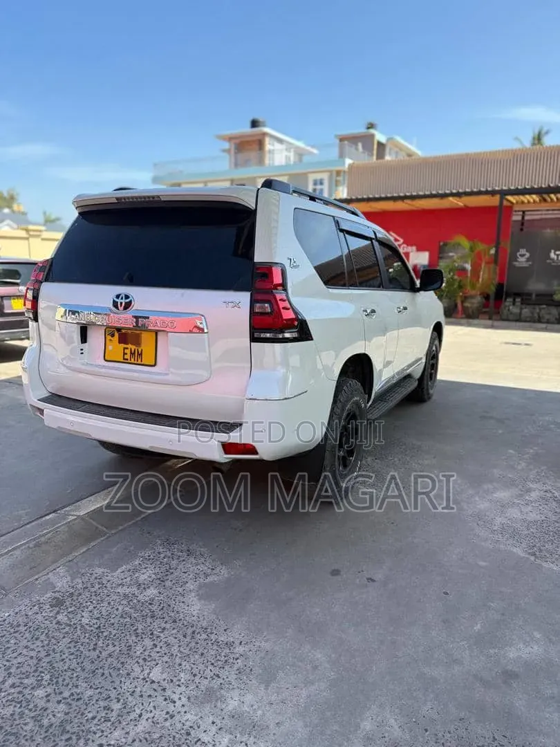 Toyota Land Cruiser Prado 2019 Pearl