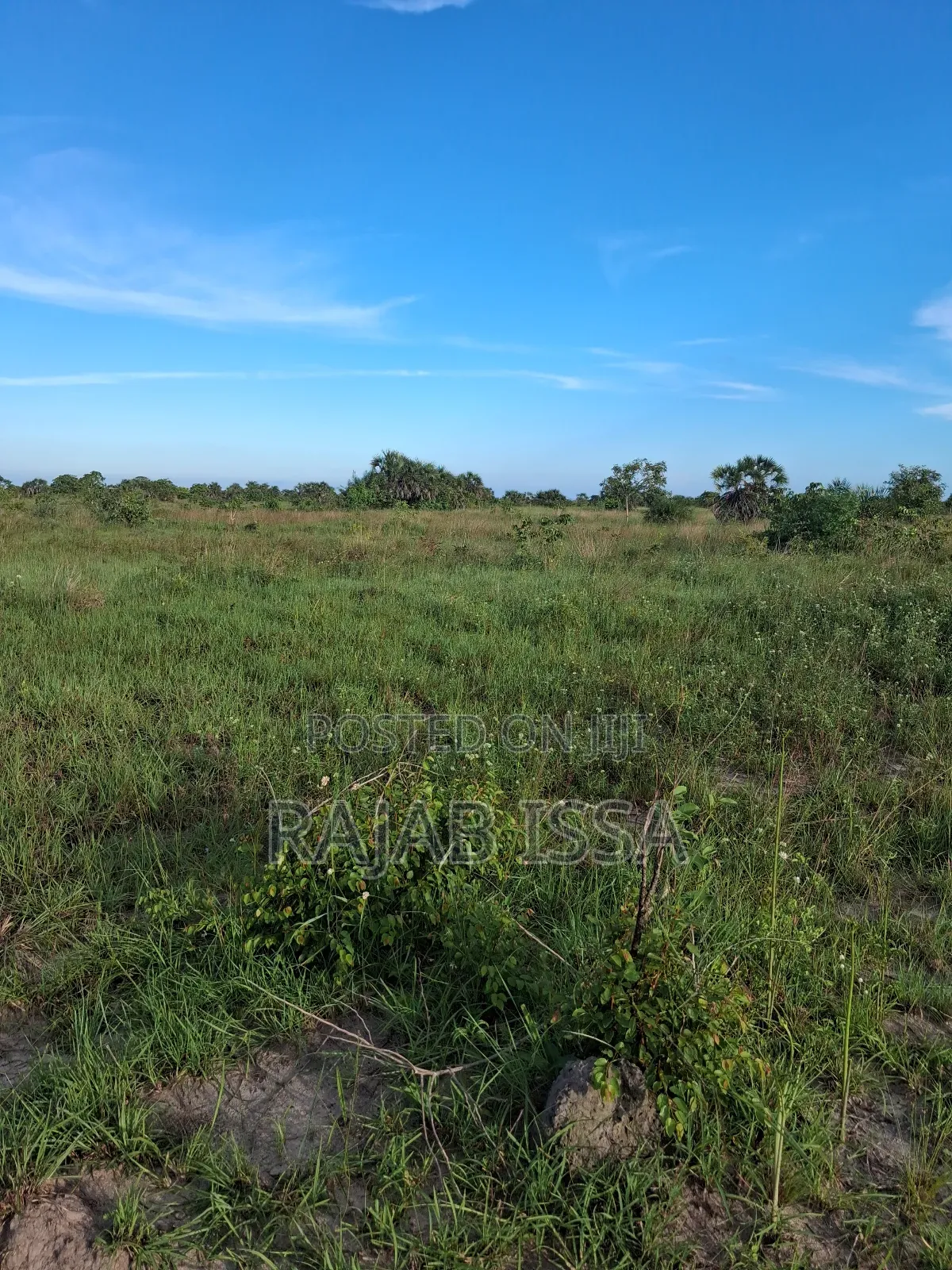 Kiwanja Kinauzwa SQM 2170