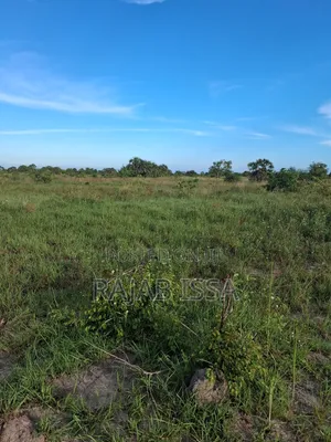 Kiwanja Kinauzwa SQM 2170