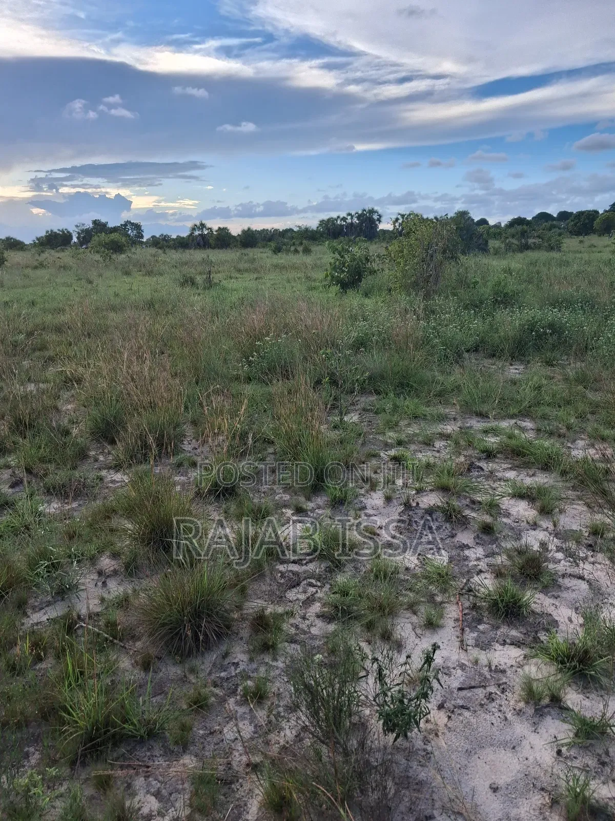 Kiwanja Kinauzwa SQM 2170