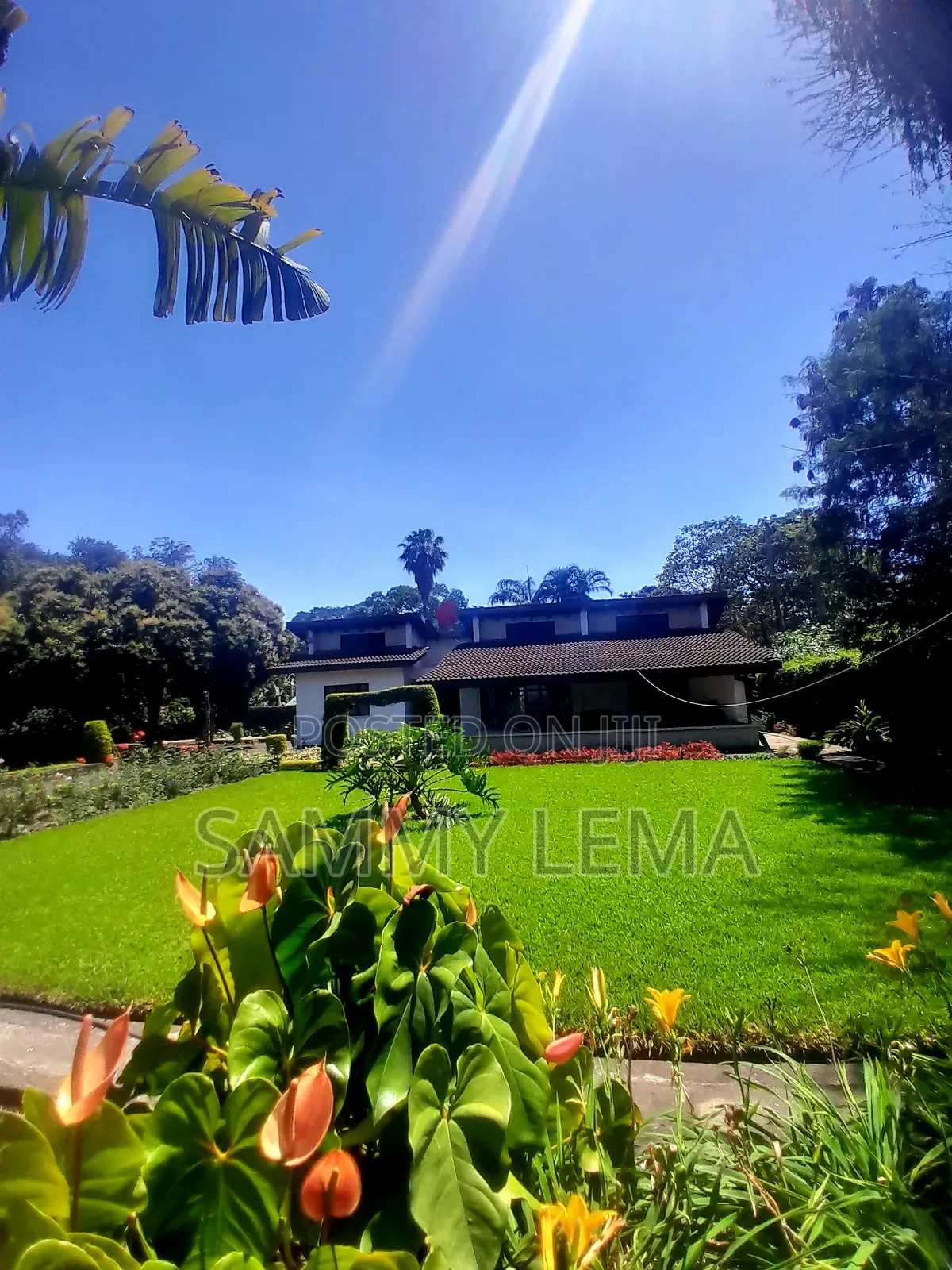 Furnished 3bdrm House in Sammy Saidy, Central Business Area for rent