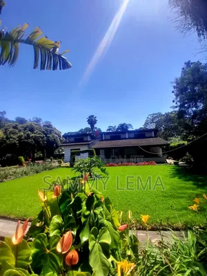 Furnished 3bdrm House in Sammy Saidy, Central Business Area for rent