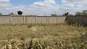 Kiwanja Kinauzwa Chini Ya Uswahilini Arusha