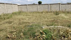 Kiwanja Kinauzwa Chini Ya Uswahilini Arusha