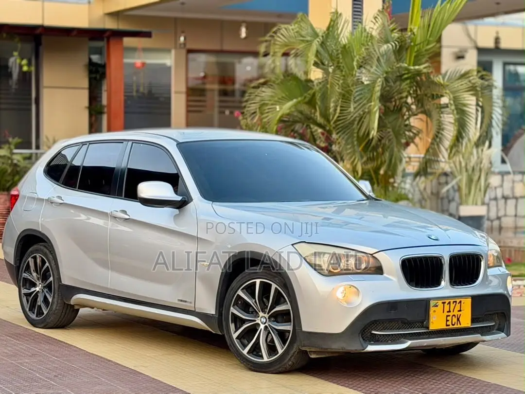 BMW X1 2010 Silver