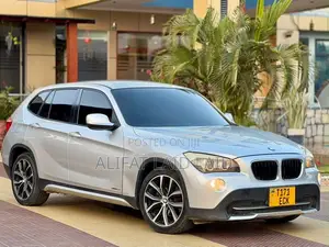 BMW X1 2010 Silver