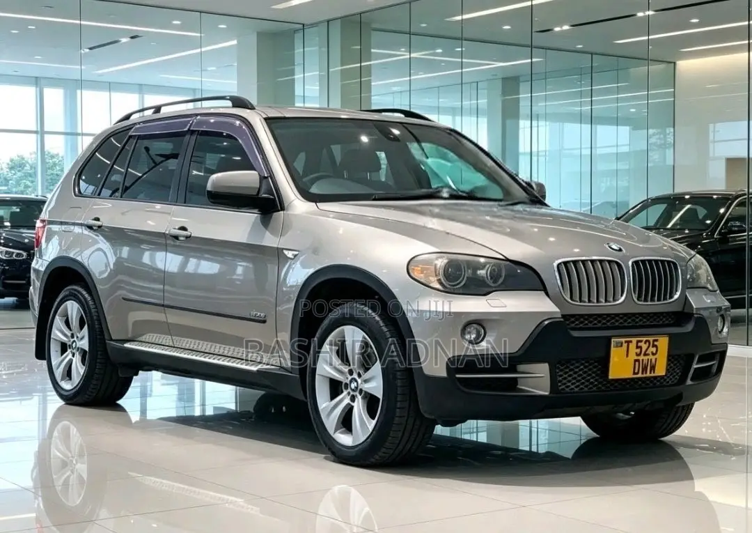 BMW X5 2013 Silver