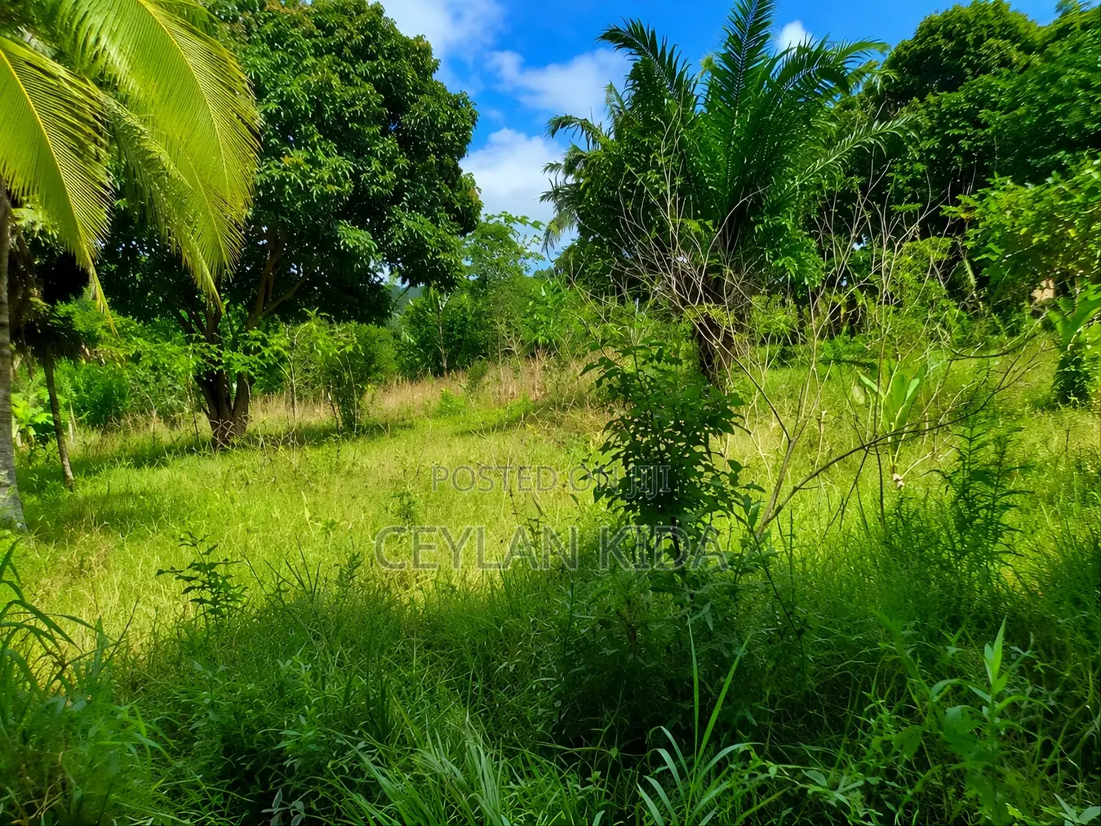 Kiwanja 35 Kwa 15 Majoe Relini , Dar Es Salaam