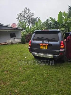 Toyota Hilux Surf 2003 Blue